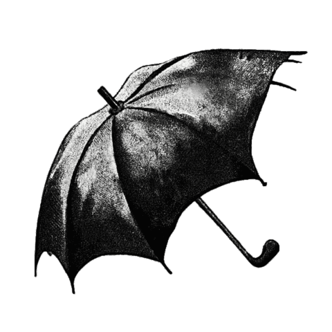 Promocja i organizacja imprez Sylwia Ciszyńska