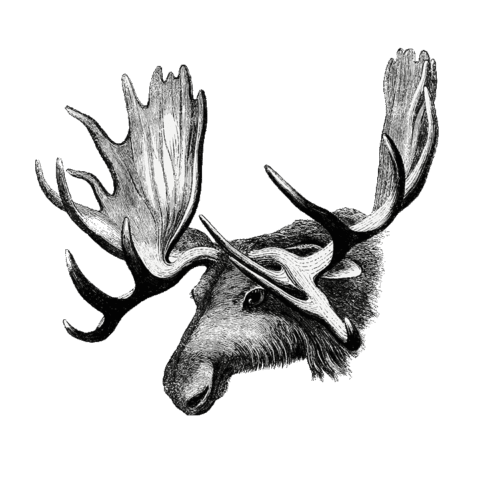 Dyrektor Miejskiej Biblioteki Publicznej w Legionowie Tomasz Talarski